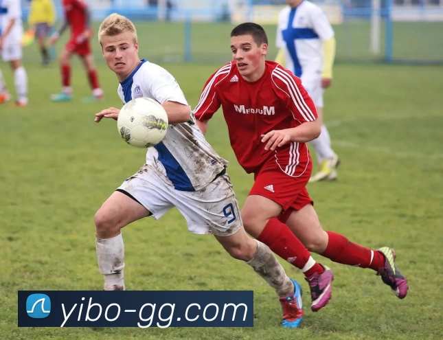 多媒体互动体验